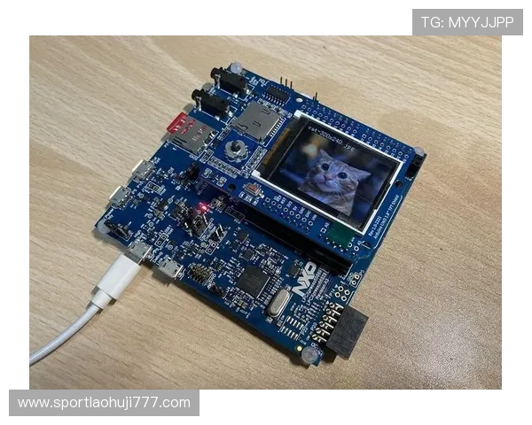 如何利用FG电子技术优化游戏性能，提升玩家满意度的实用技巧