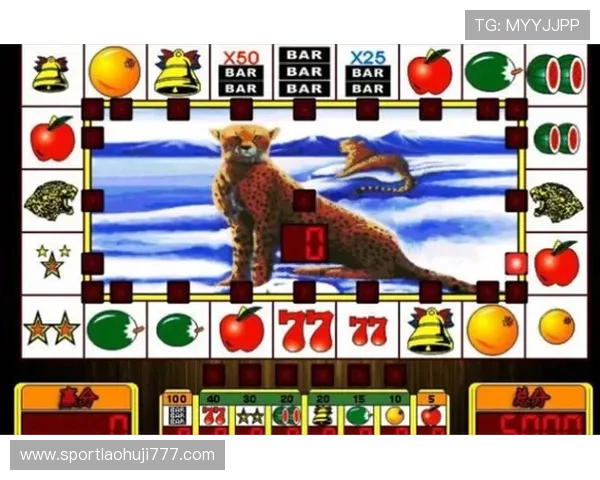 雪豹老虎机手机版下载安全保障，保障玩家资金与信息安全